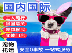 首都空运代理国际宠物托运 【国